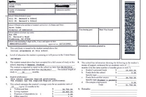 美国新泽西州吉尔圣伯纳德学校10年级